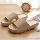 42481900453987|42481900486755|42481900519523|42481900552291|42481901928547